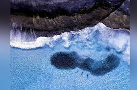 Magical Land of Oz: Season 1: Ocean