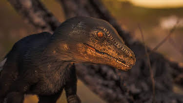 5:05 PM: Andy's Dino Island (S1) | Cbeebies | 3/27 2026