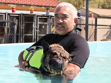 04:35: Cesar Millan: Better Human Better Dog - Bessere Menschen, bessere Hunde | Sixx | 5/16 2026