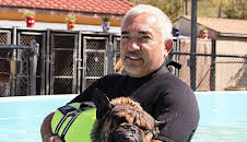 Cesar Millan: Better Human Better Dog - Bessere Menschen, bessere Hunde