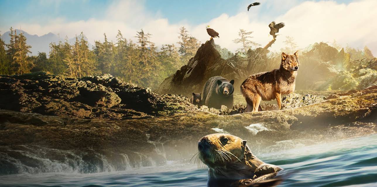 Island of the Sea Wolves