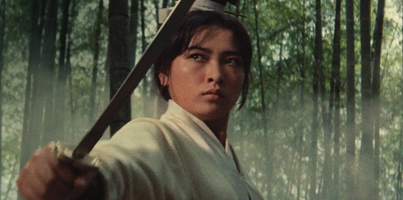 A Touch of Zen (1971)