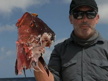 20:15: Chasing Monsters - Monsterfischen auf der Spur | Kabel Eins Doku | 7/24 2026