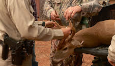 Lone Star Law (S2 E7)