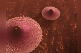 Cosmic Front: Episode 5