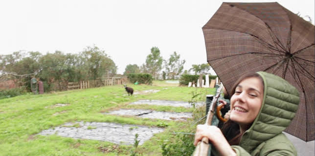 08:25: Planet Schule: Mi diario londinense - La otra España, ¡el norte! | WDR Fernsehen | 2/2 2026