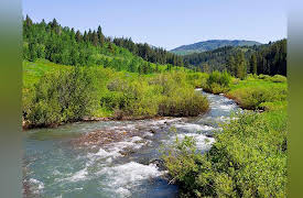 Redefining Reality: The Intellectual Implications of Modern Science: Evolutionary Psychology