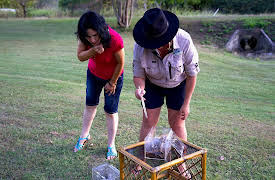 The Snake Catcher: Fear