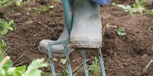 3:30 PM: How It's Made (S10 E1) (S10) | Discovery Channel | 3/10 2026