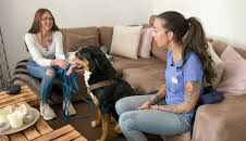 Der Hundeprofi - Rütters Team