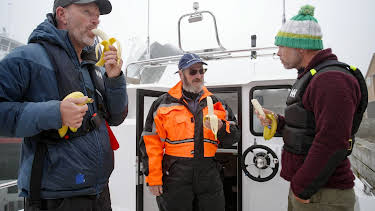 20:55: Jakten på monstermakrellen: Ærlighet varer lengst - kanskje | NRK Tegnspraak | 4/2 2026