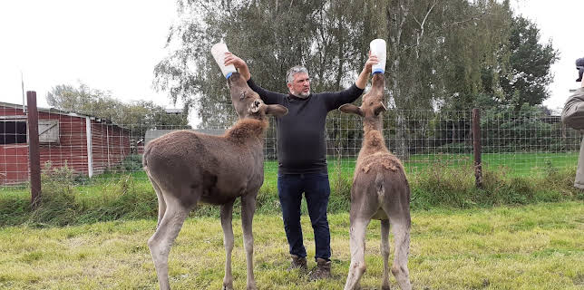 06:30: Terra Xpress | ZDFneo | 2/15 2026