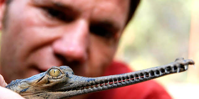 10:10 AM: Deadly 60 (S1) | CBBC | 12/1 2025