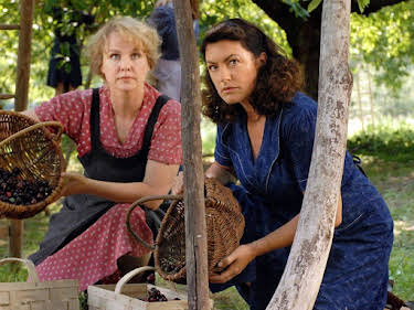 11:40: Die Erntehelferin | SWR Fernsehen RP | 10/4 2026