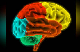 How You Decide: The Science of Human Decision Making: Halo Effects and Choice