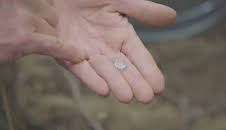 Die Schatzsucher von Oak Island