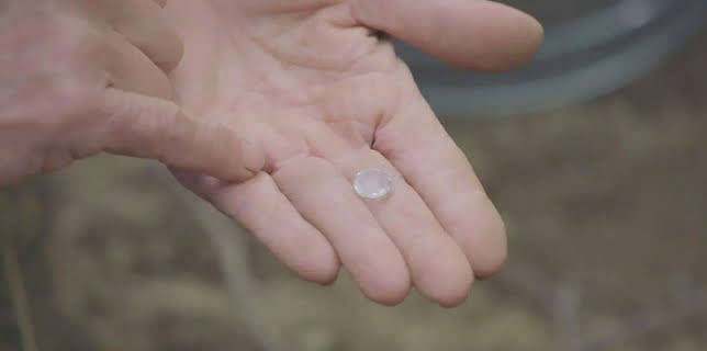 21:00: Die Schatzsucher von Oak Island | Kabel Eins Doku | 1/11 2026