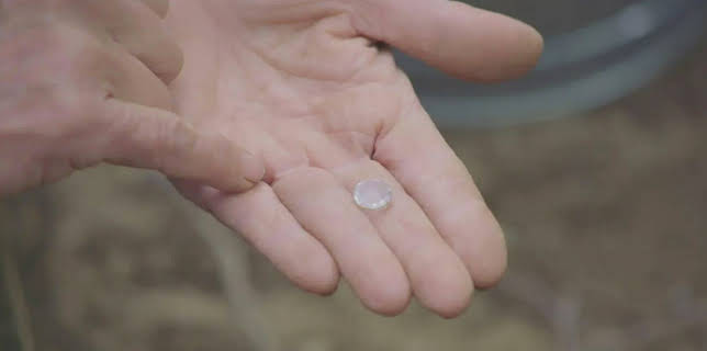 Die Schatzsucher von Oak Island