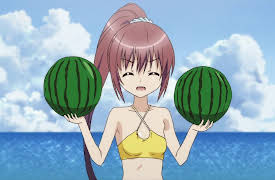 JINSEI - Life Consulting: Summer Goods