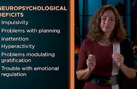 Understanding Disorders of the Brain: Attention Deficit Hyperactivity Disorder