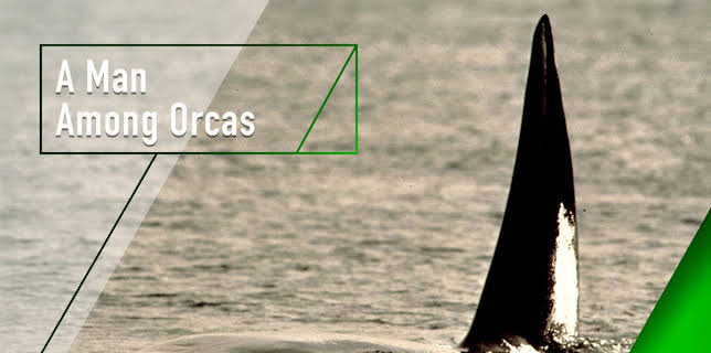 A Man Among Orcas (2006)