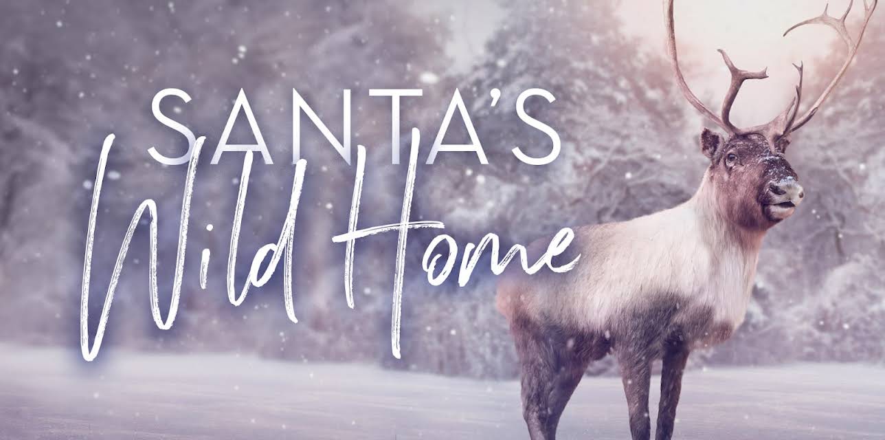 Santa's Wild Home (1982)