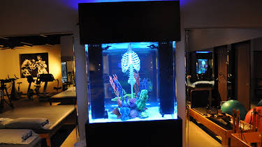 02:30: Tanked (S3 E8) (S3) | Animal Planet | 1/9 2026