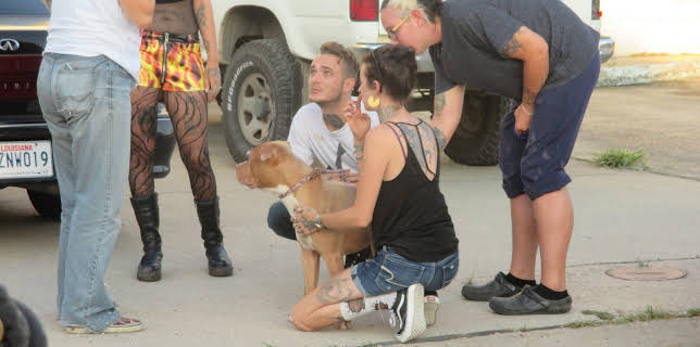 15:00: Pit Bulls & Parolees (S8 E9) (S8) | Animal Planet | 1/4 2026