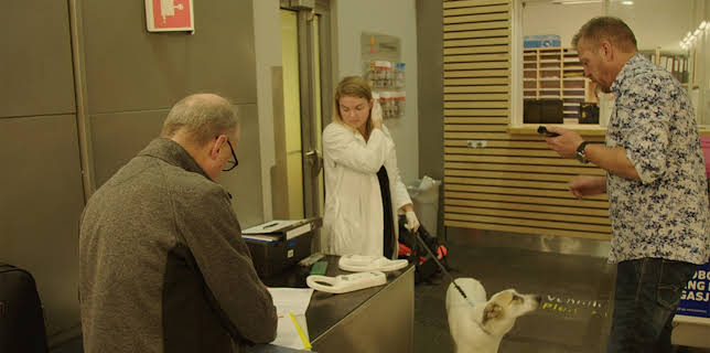 06:30: OSL 24-7 (S1 E10) (S1) | TV10 | 11/9 2025