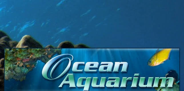 Ocean Aquarium (2012)