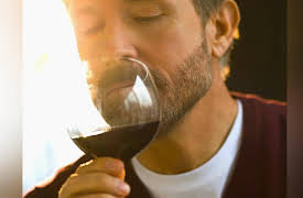 The Everyday Guide to Wine: A Taster's Tool Kit