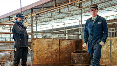 11:00 AM: NCIS (S17 E7) (S17) | 5 USA | 12/16 2025