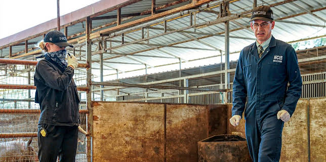 7:00 PM: NCIS (S17 E7) (S17) | 5 USA | 12/9 2025