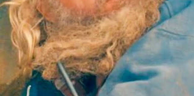 15:02: La fiebre del oro: El pozo del dinero contraataca | Discovery Max | 3/11 2026