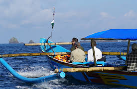 Extinct Or Alive:  The Javan Tiger