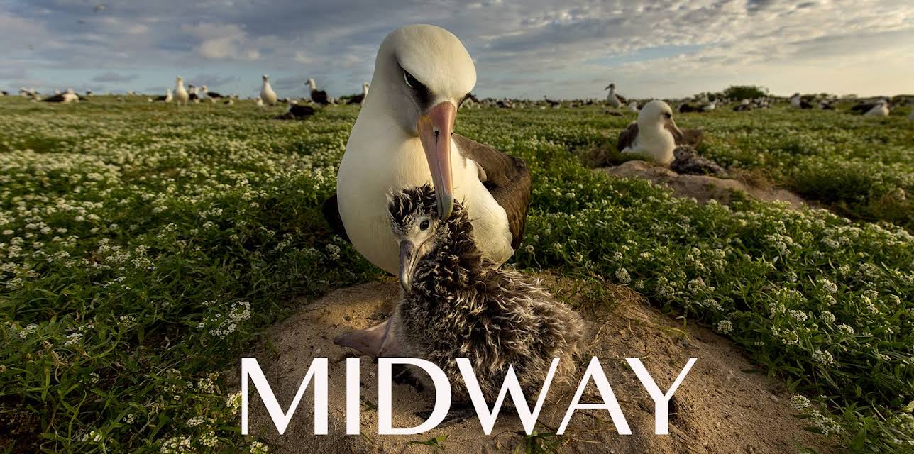 Midway: Edge of Tomorrow (2017)