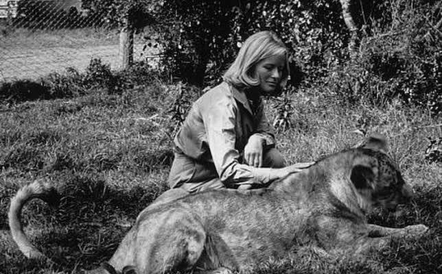 Virginia McKenna