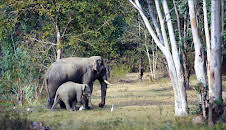 Kui Buri - Thailands unbekanntes Eden