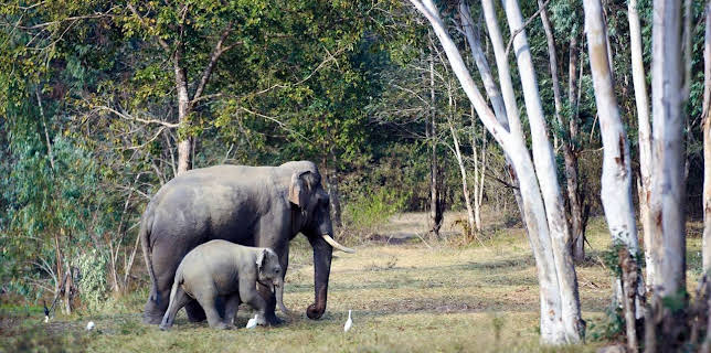 18:27: Kui Buri - Thailands unbekanntes Eden | Arte | 12/5 2025