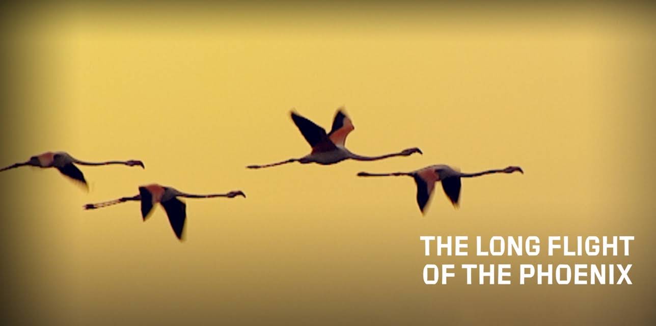 The Long Flight of the Phoenix (2008)