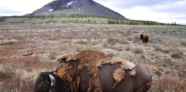 13:50: Panamericana (2/7) | 3SAT | 1/29 2026