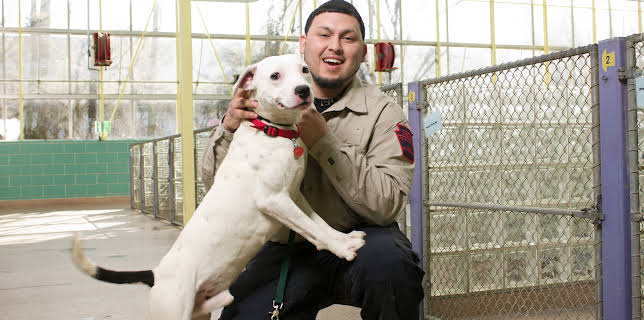 10:20: Animal Cops Philadelphia (S12 E16) (S12) | Animal Planet | 11/13 2025