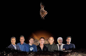 Biohack Yourself: Biohack Yourself: Optimizing Our Rejuvenation