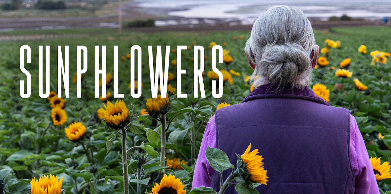 Sunphlowers (2025)