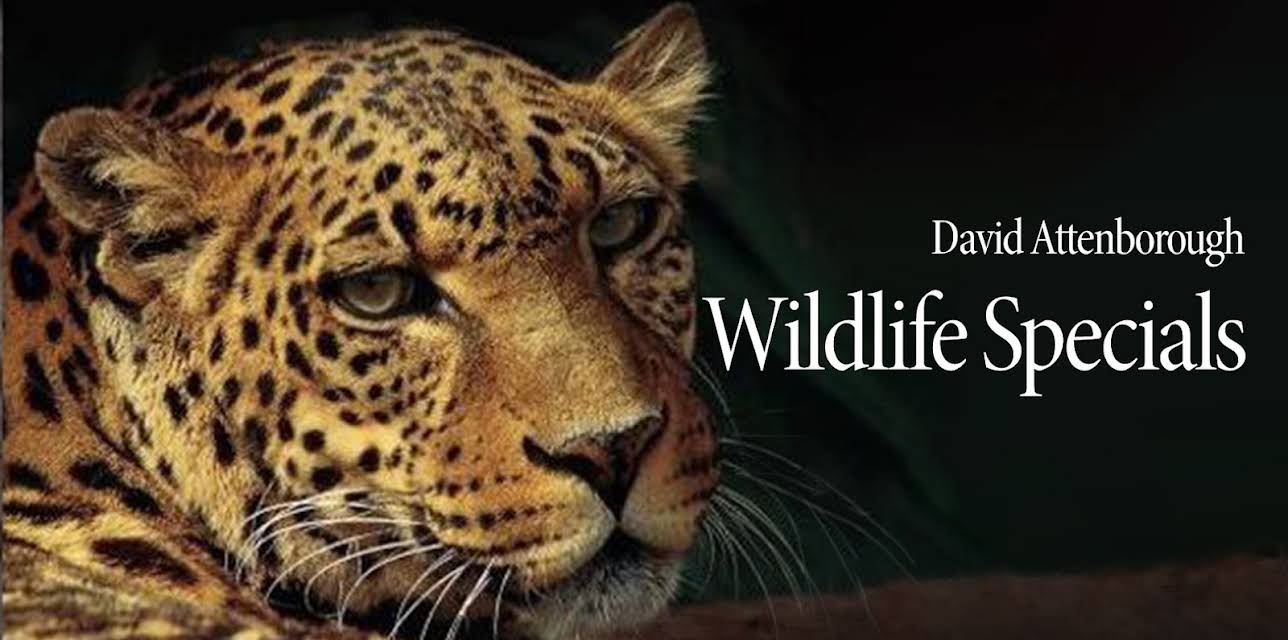 BBC Earth Wildlife Specials