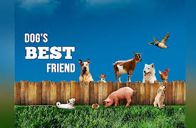 Dog's Best Friend: Episode 2