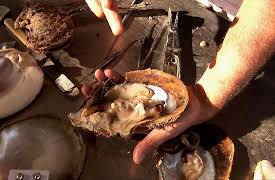 Gone Fishin S4: Monkey Mia- Western Australia