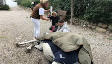 Die Tierärzte - Unsere norddeutschen Retter mit Herz