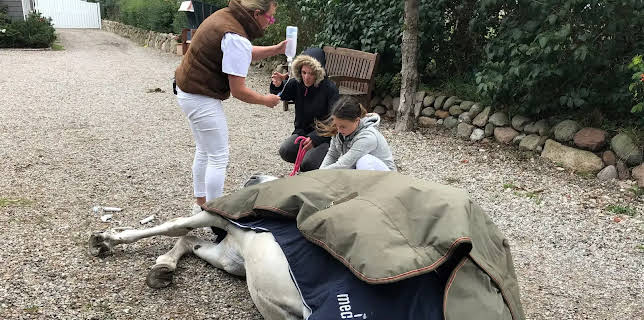 07:15: Die Tierärzte - Unsere norddeutschen Retter mit Herz | NDR Fernsehen | 12/21 2025