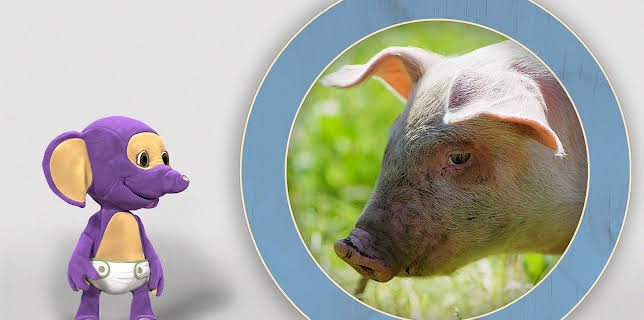 16:45: Fantus jïh kreekh: Snurkie - Gris | NRK 3 | 1/10 2026